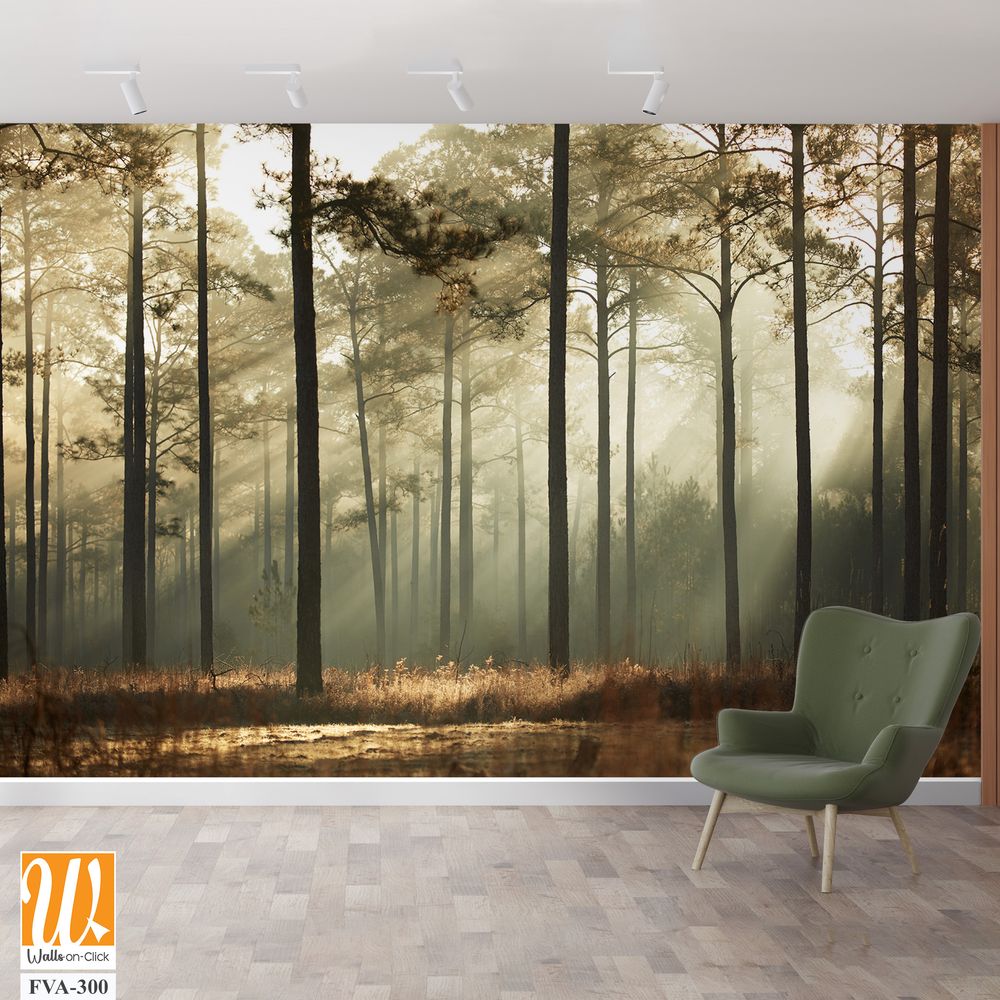 Endless pine forest with tall trees [WP-FVA-300]