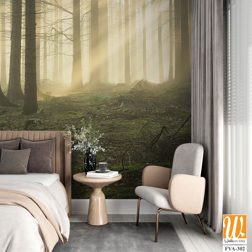 Dense forest with tall trees, a foggy atmosphere [WP-FVA-302]
