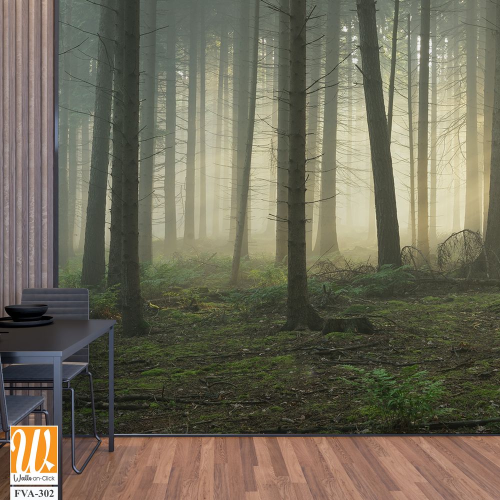 Dense forest with tall trees, a foggy atmosphere [WP-FVA-302]