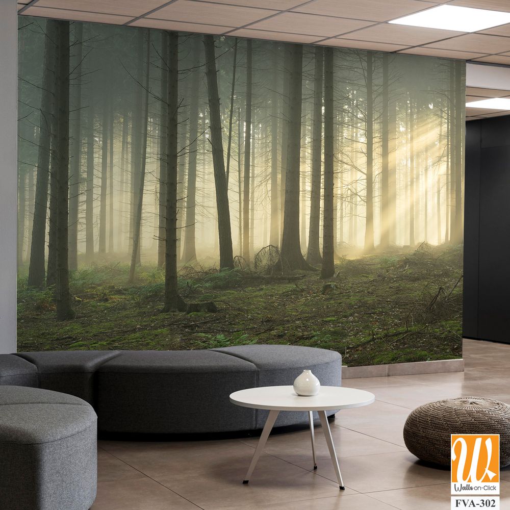 Dense forest with tall trees, a foggy atmosphere [WP-FVA-302]
