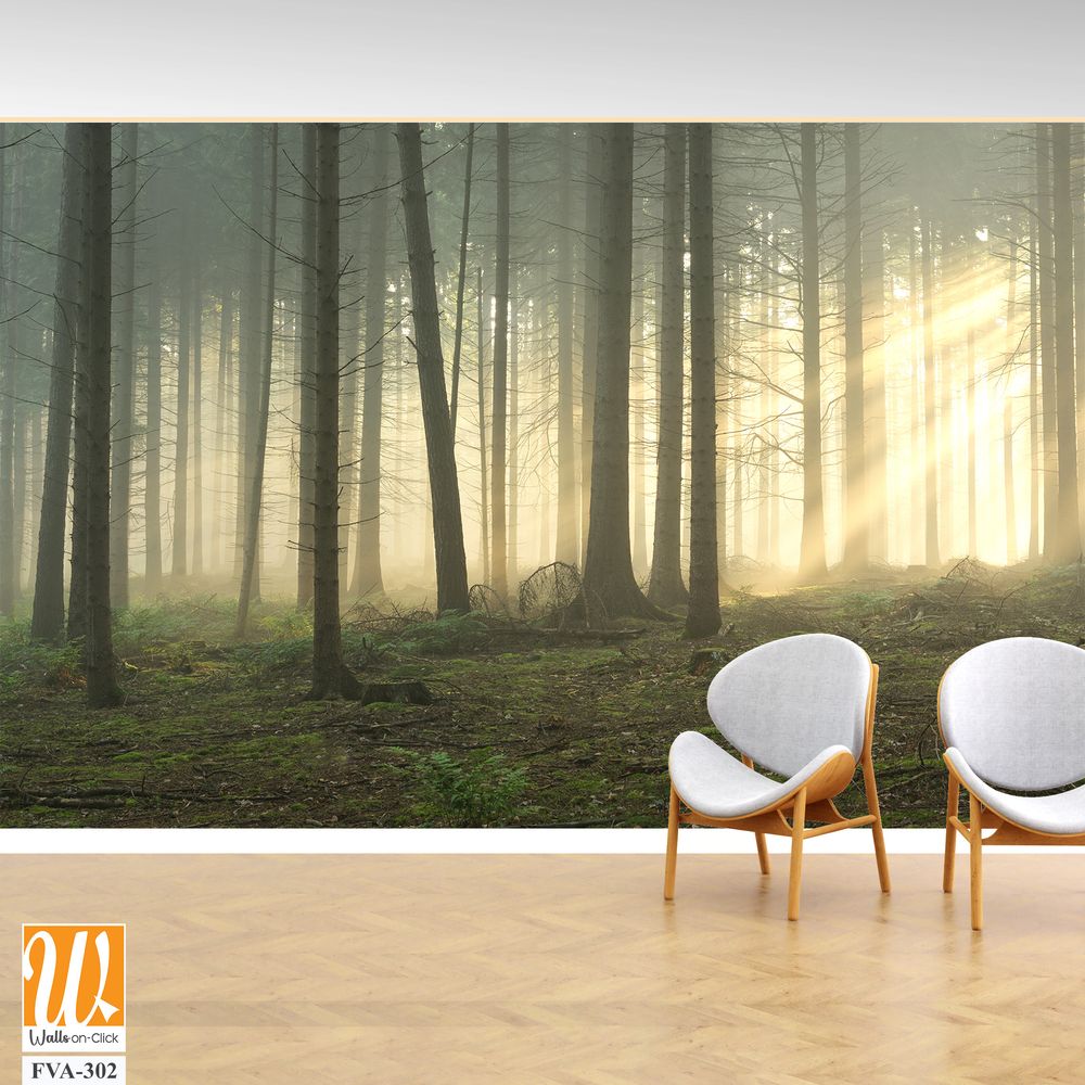 Dense forest with tall trees, a foggy atmosphere [WP-FVA-302]