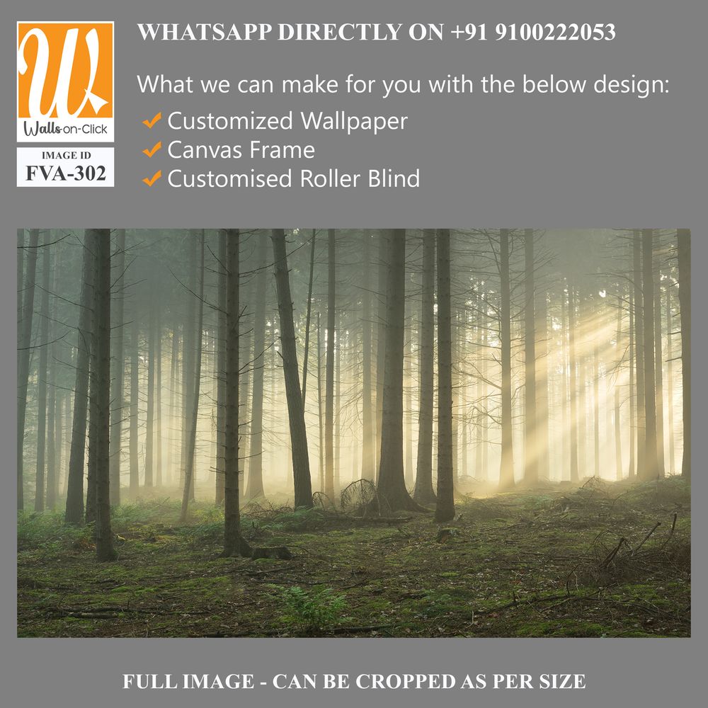 Dense forest with tall trees, a foggy atmosphere [WP-FVA-302]