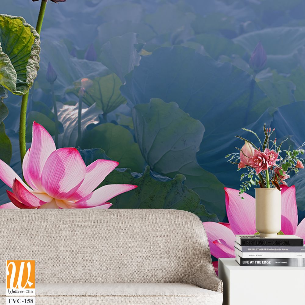 Beautiful lotus flowers and leaves in the pond Wallpaper [WP-FVC-158]