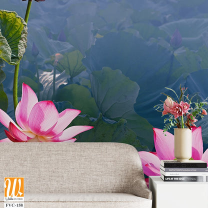 Beautiful lotus flowers and leaves in the pond Wallpaper [WP-FVC-158]