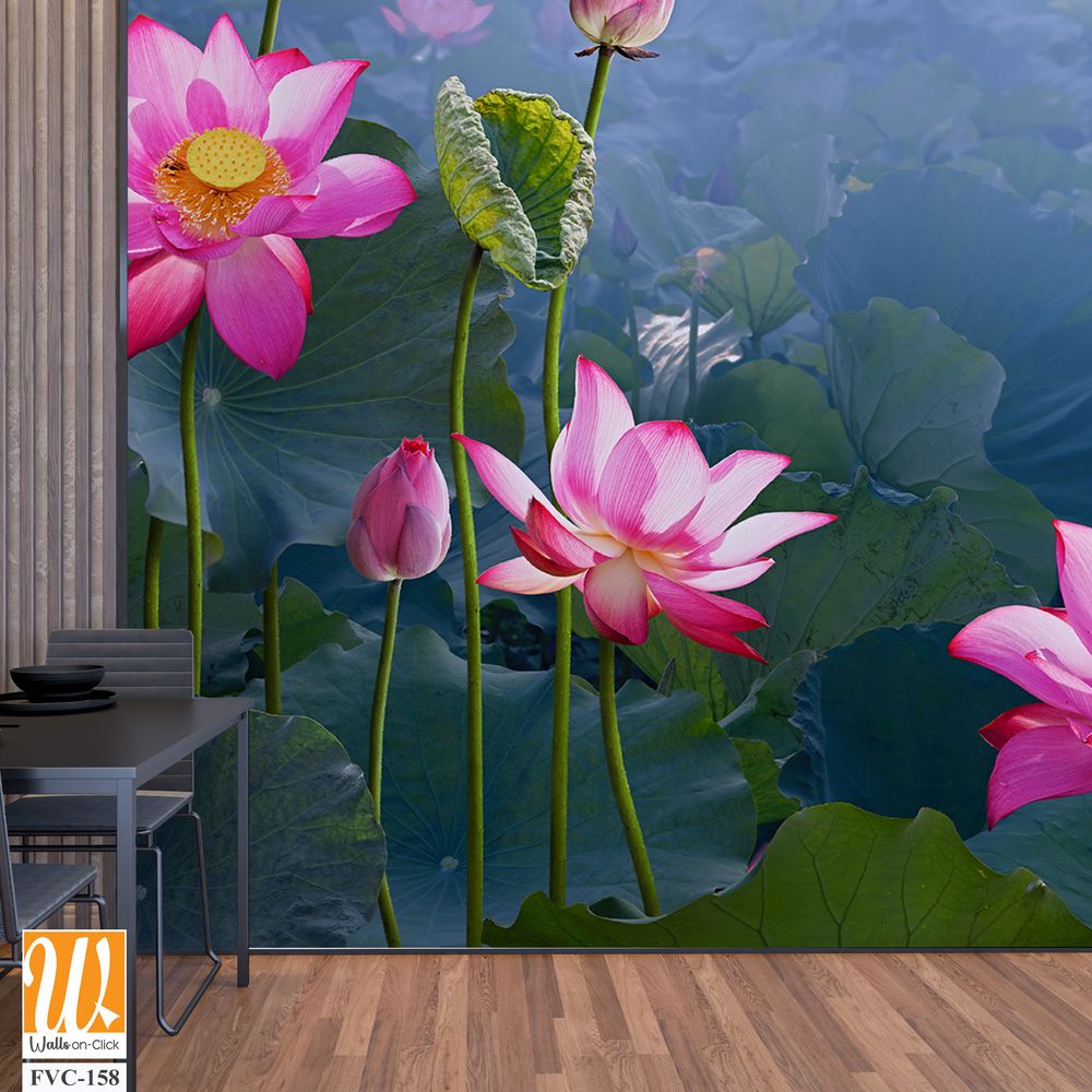 Beautiful lotus flowers and leaves in the pond Wallpaper [WP-FVC-158]