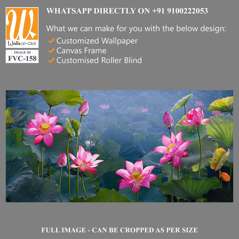 Beautiful lotus flowers and leaves in the pond Wallpaper [WP-FVC-158]