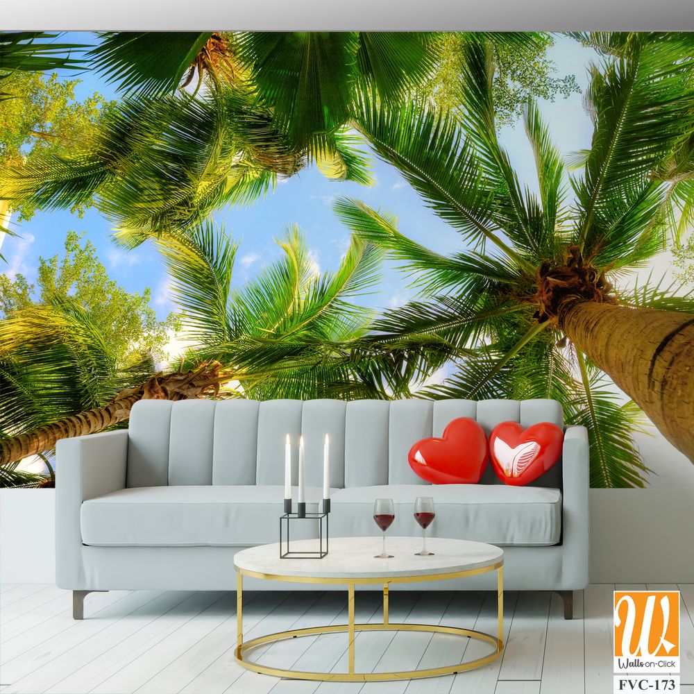 Overhead view of palm trees Wallpaper [WP-FVC-173]
