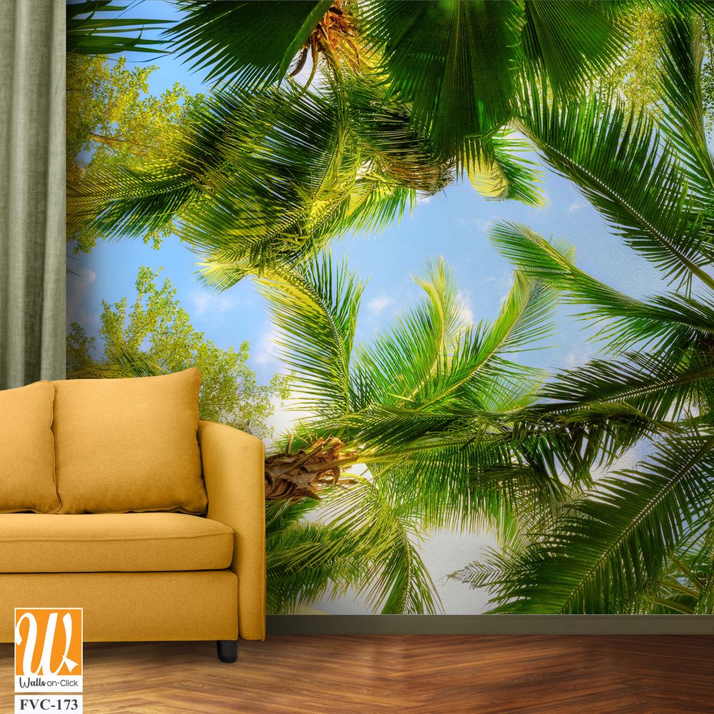 Overhead view of palm trees Wallpaper [WP-FVC-173]