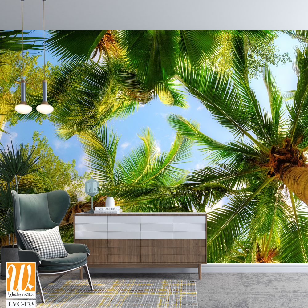 Overhead view of palm trees Wallpaper [WP-FVC-173]