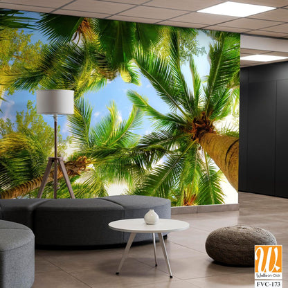 Overhead view of palm trees Wallpaper [WP-FVC-173]