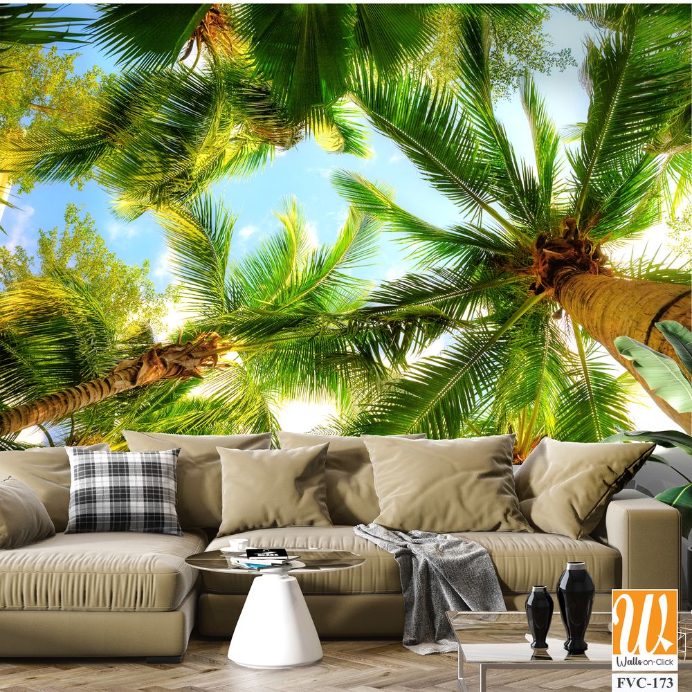 Overhead view of palm trees Wallpaper [WP-FVC-173]