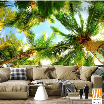 Overhead view of palm trees Wallpaper [WP-FVC-173]