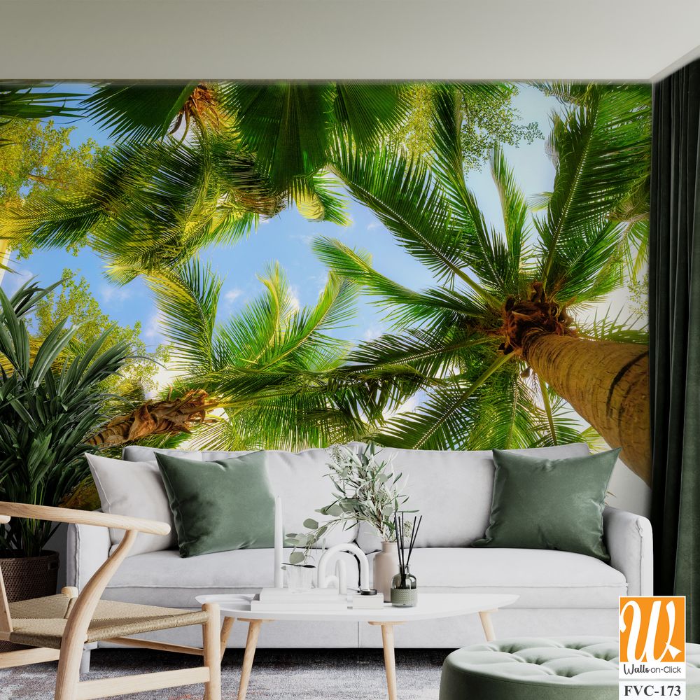 Overhead view of palm trees Wallpaper [WP-FVC-173]