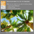 Overhead view of palm trees Wallpaper [WP-FVC-173]