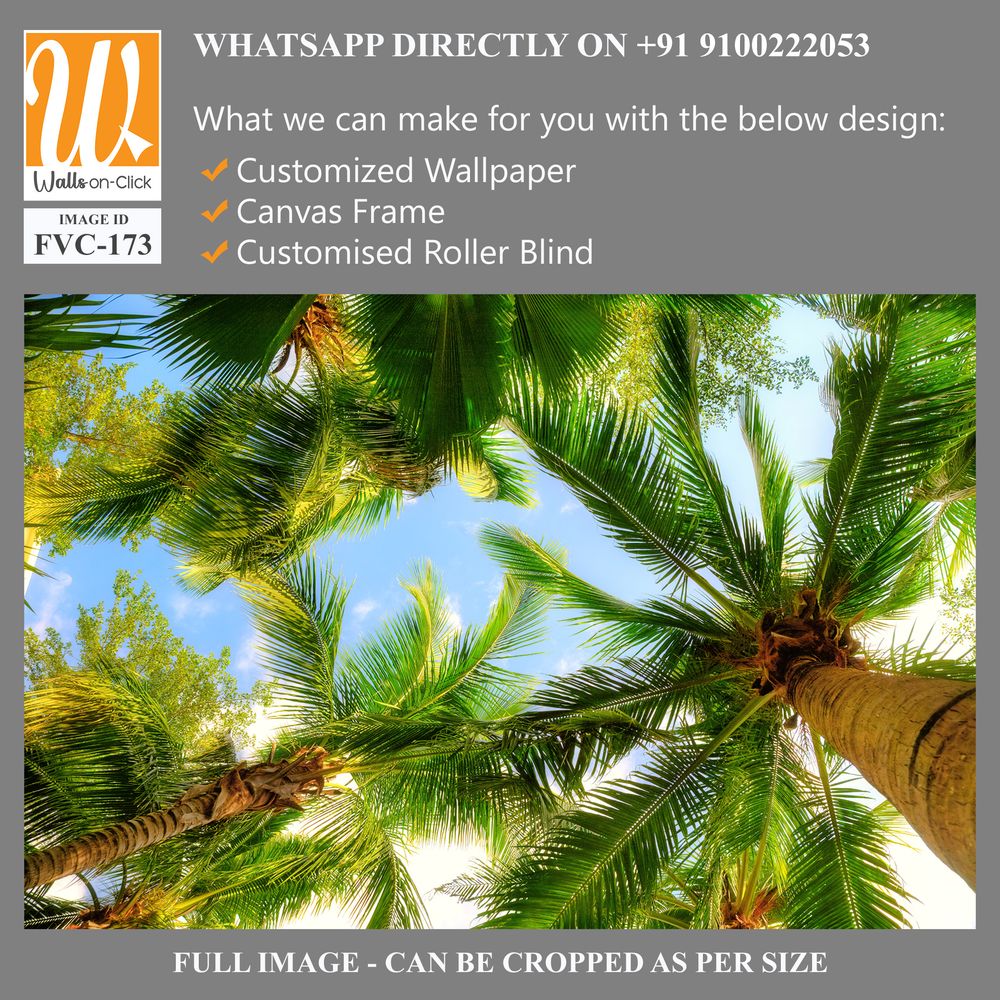 Overhead view of palm trees Wallpaper [WP-FVC-173]
