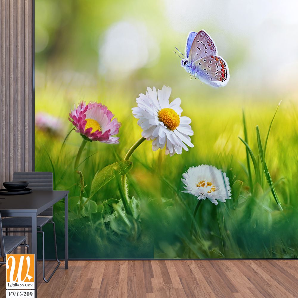 Beautiful spring meadow with daisies and grass, butterfly Wallpaper [WP-FVC-209]