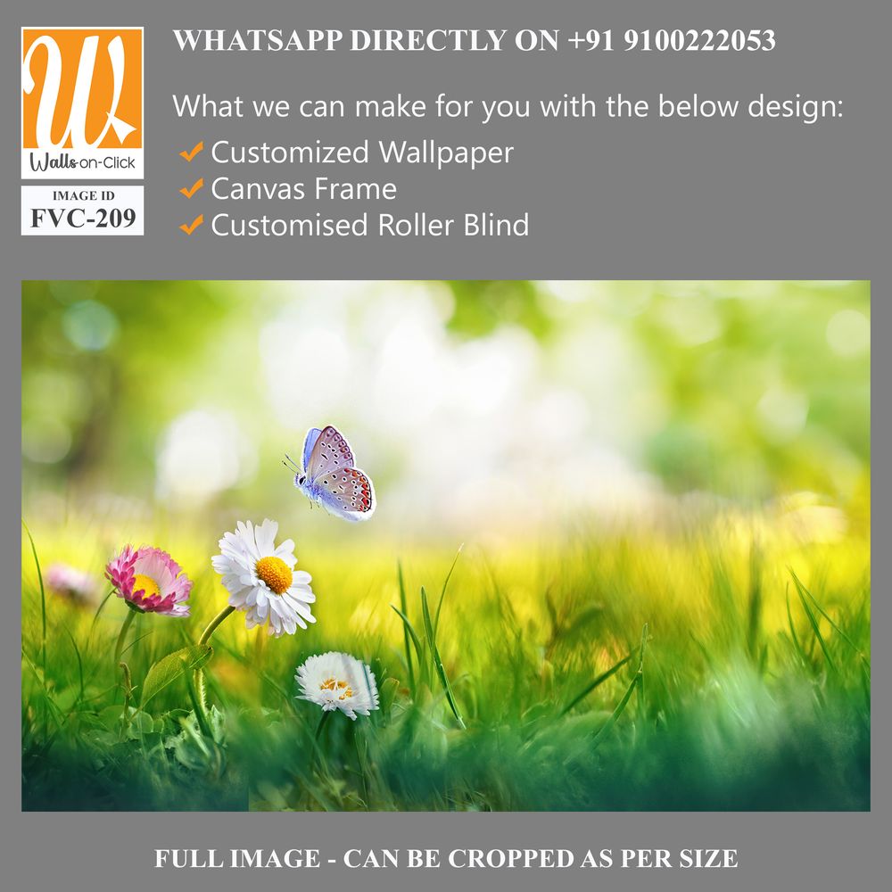 Beautiful spring meadow with daisies and grass, butterfly Wallpaper [WP-FVC-209]