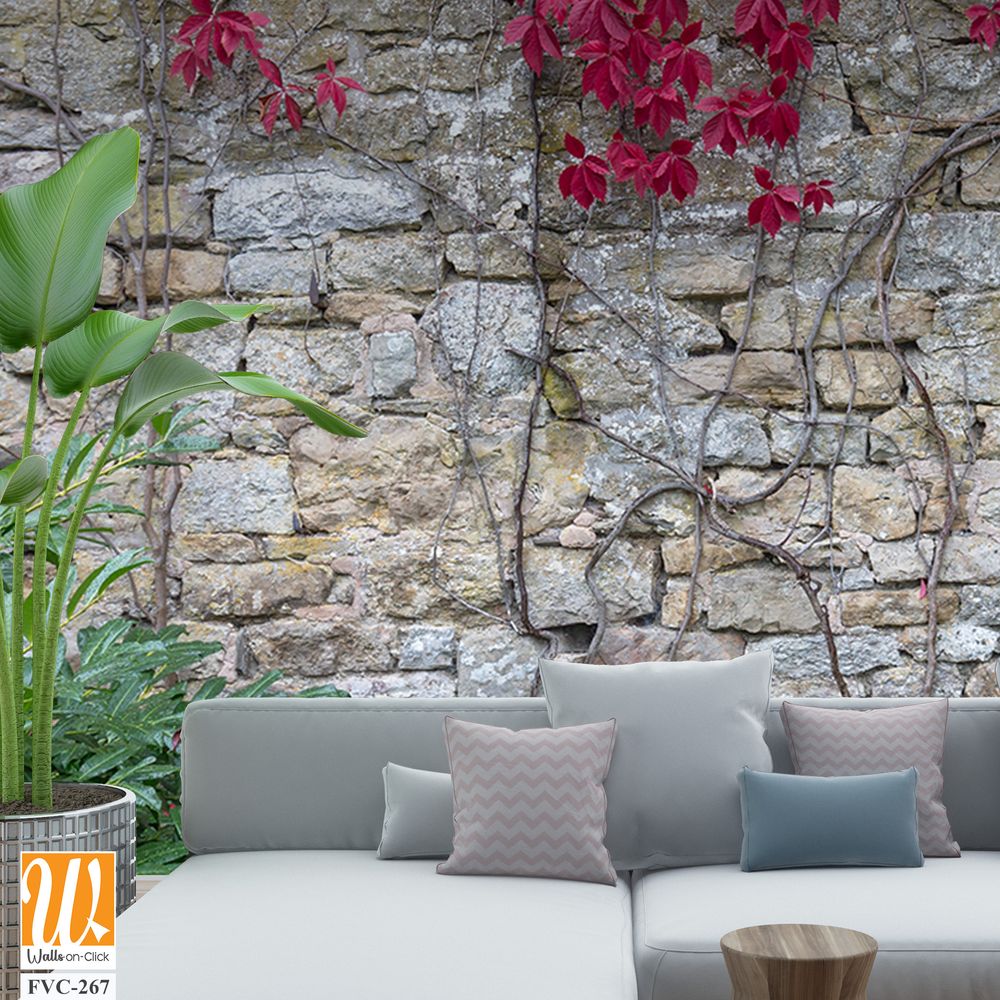 Old stone wall with red ivy Wallpaper [WP-FVC-267]