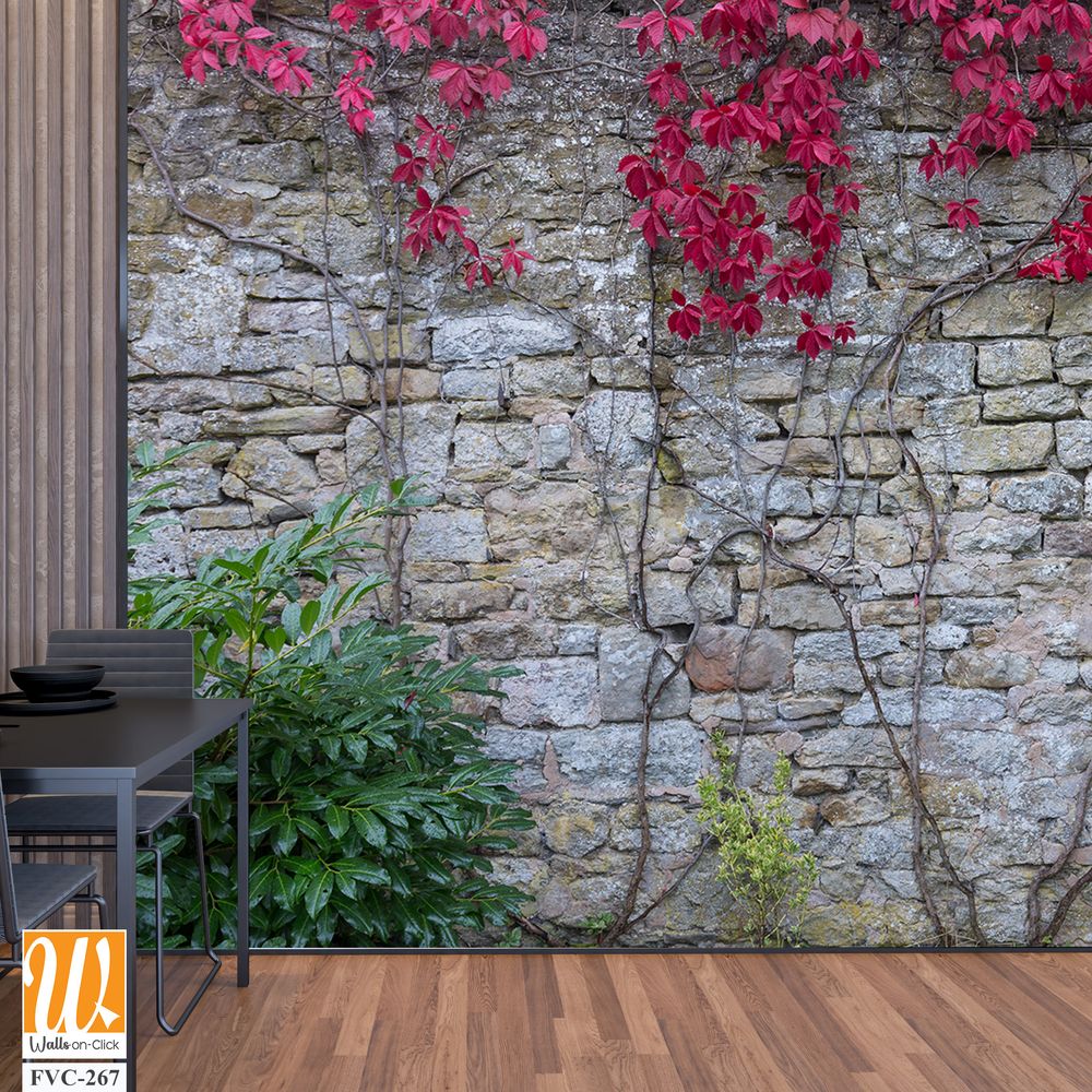 Old stone wall with red ivy Wallpaper [WP-FVC-267]