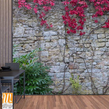 Old stone wall with red ivy Wallpaper [WP-FVC-267]