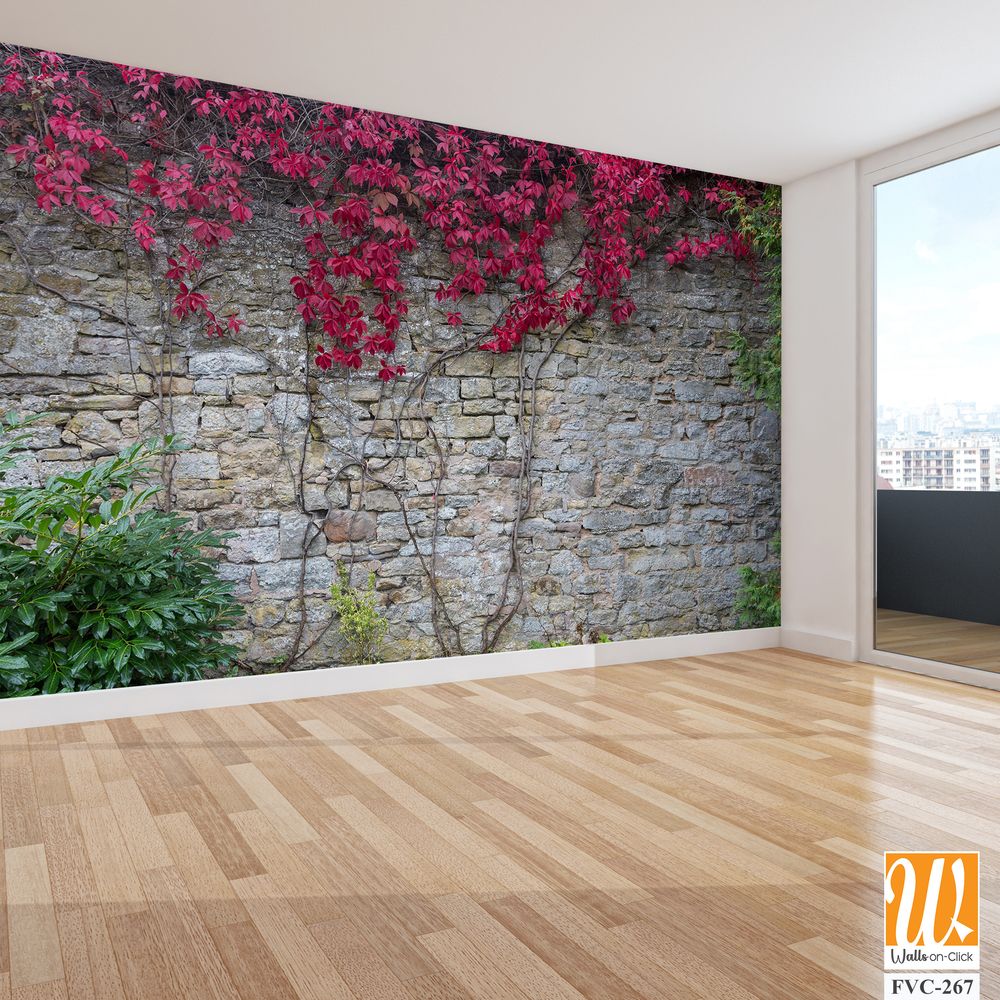 Old stone wall with red ivy Wallpaper [WP-FVC-267]