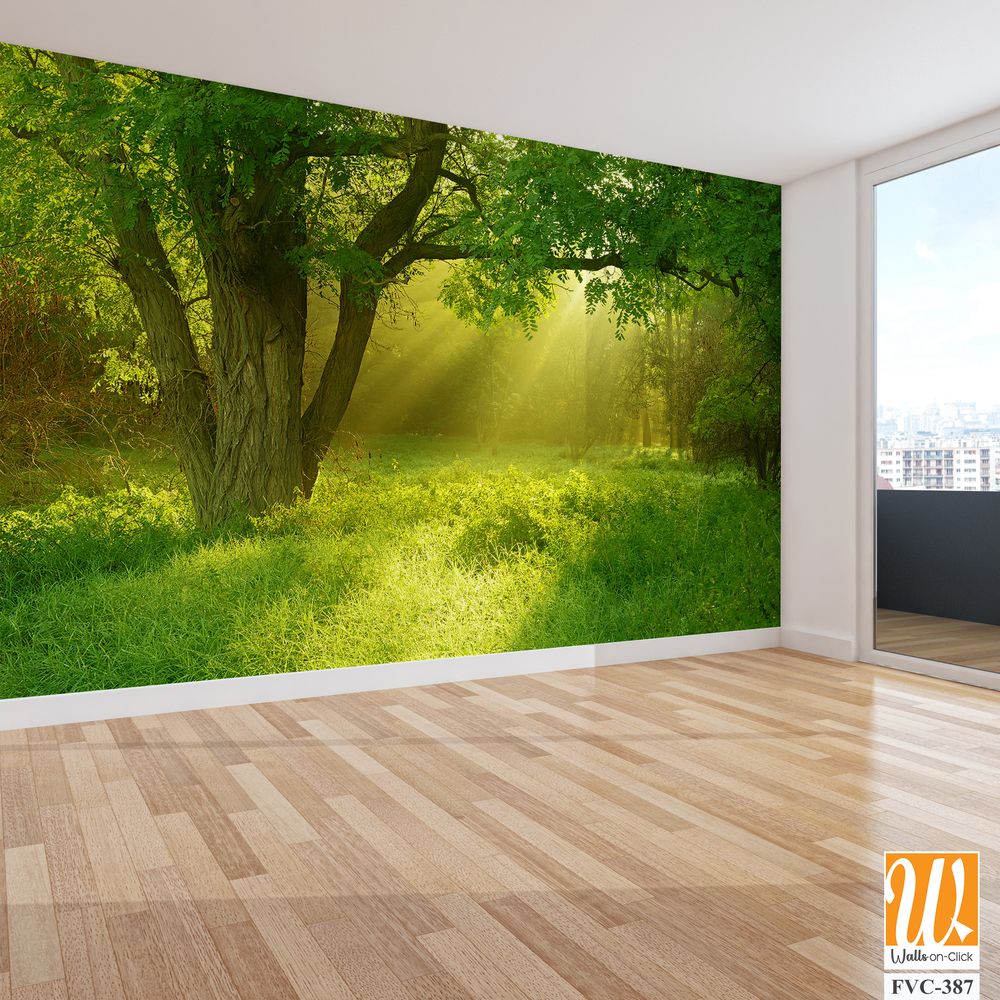 A verdant meadow Wallpaper [WP-FVC-387]