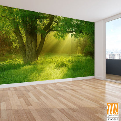 A verdant meadow Wallpaper [WP-FVC-387]