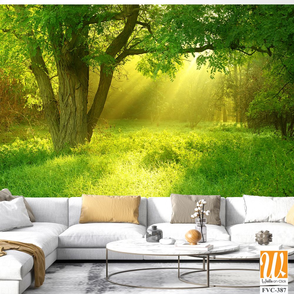 A verdant meadow Wallpaper [WP-FVC-387]