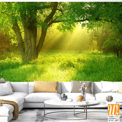A verdant meadow Wallpaper [WP-FVC-387]