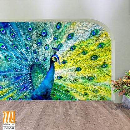 Beautiful peacock displaying its colorful feathers [WP-FVE-241]
