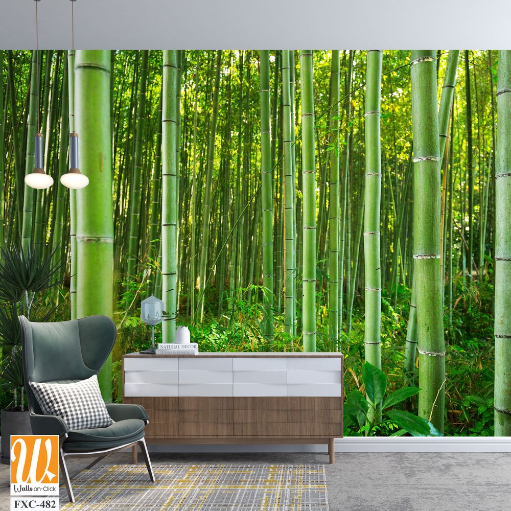Dense bamboo forest with lush greenery Wallpaper [WP-FXC-482]