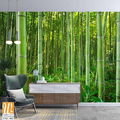 Dense bamboo forest with lush greenery Wallpaper [WP-FXC-482]