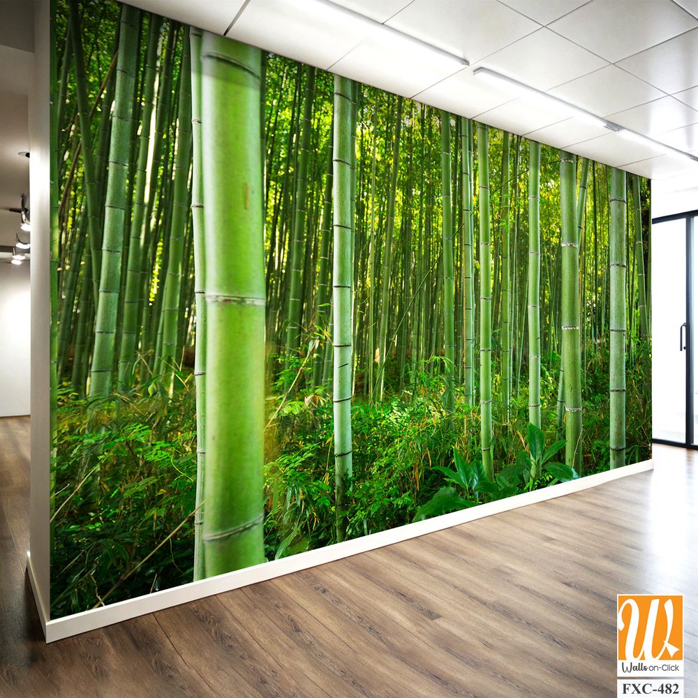 Dense bamboo forest with lush greenery Wallpaper [WP-FXC-482]