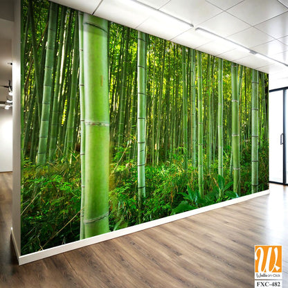 Dense bamboo forest with lush greenery Wallpaper [WP-FXC-482]