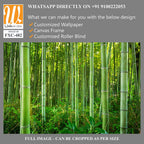 Dense bamboo forest with lush greenery Wallpaper [WP-FXC-482]