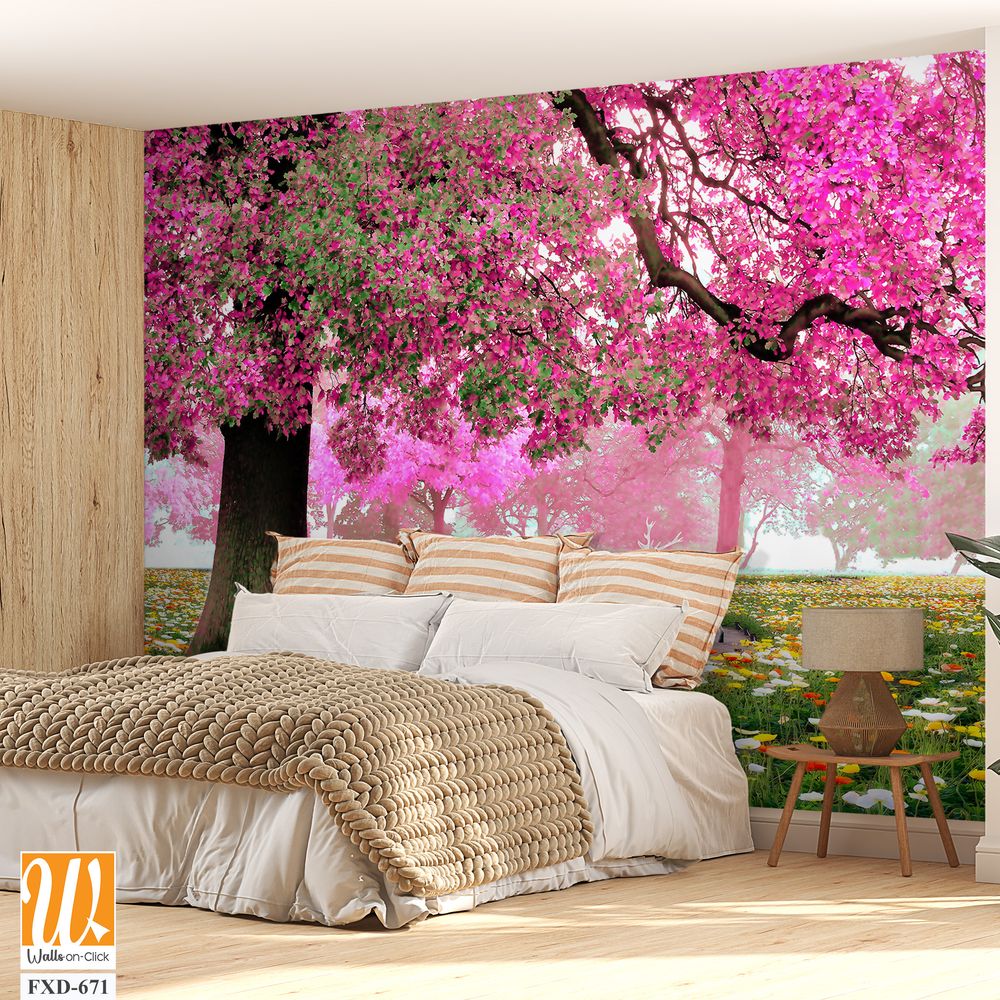 Cherry blossom tree in full bloom Wallpaper [WP-FXD-671]