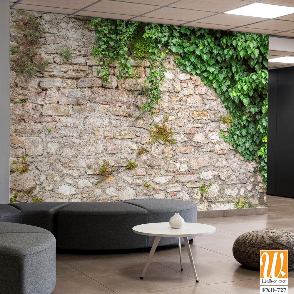 Stone wall with ivy and moss Wallpaper [WP-FXD-727]