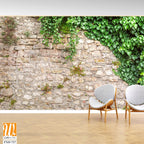 Stone wall with ivy and moss Wallpaper [WP-FXD-727]