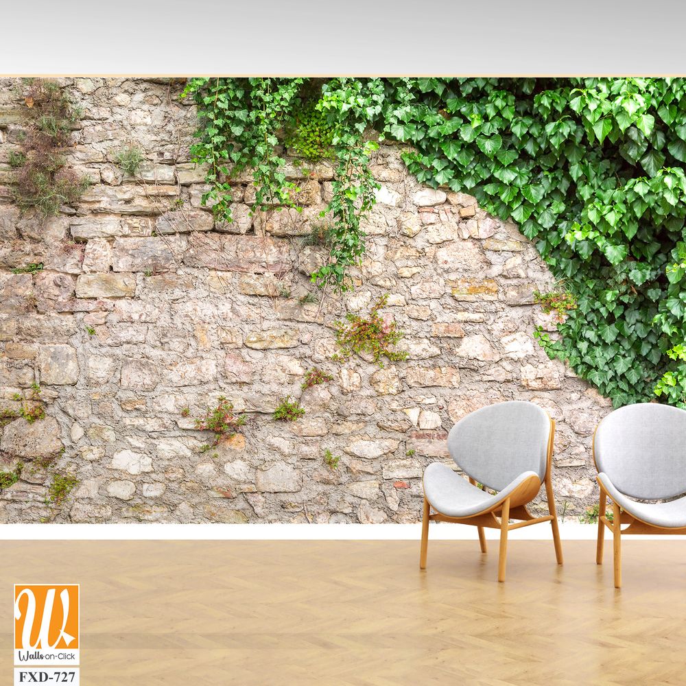 Stone wall with ivy and moss Wallpaper [WP-FXD-727]