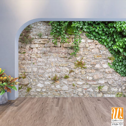 Stone wall with ivy and moss Wallpaper [WP-FXD-727]