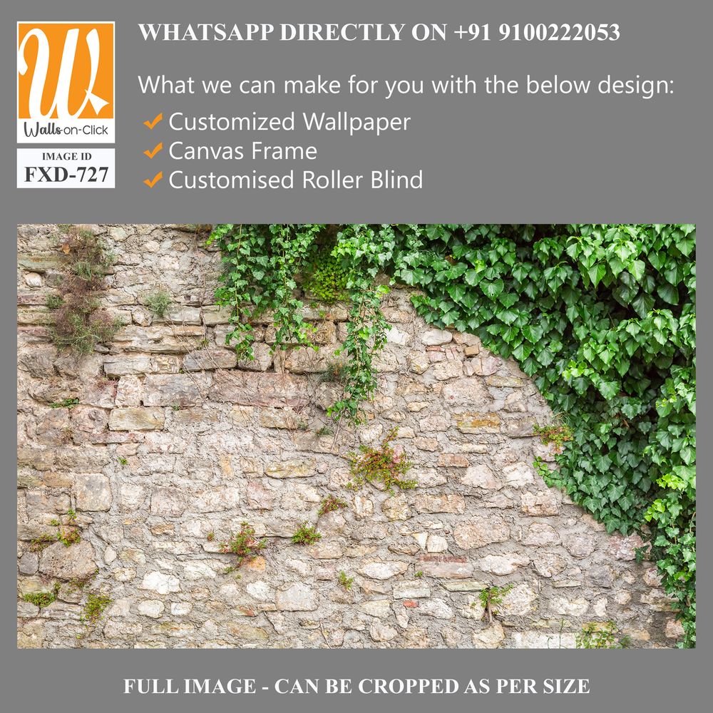 Stone wall with ivy and moss Wallpaper [WP-FXD-727]