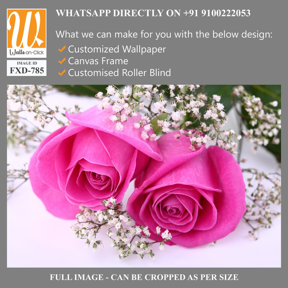 Two pink roses Wallpaper [WP-FXD-785]